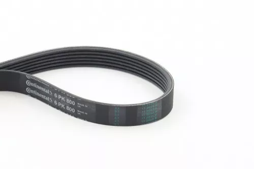 CONTINENTAL CTAM V-ribbed Belt (6PK800)