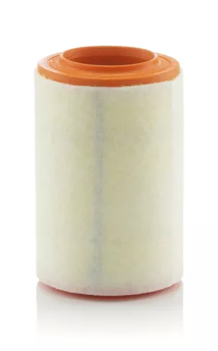 MANN-FILTER Air Filter (C15007)