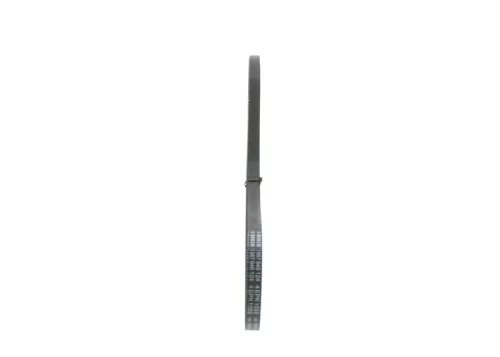 BOSCH V-ribbed Belt (1987946124)