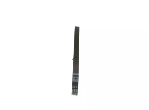BOSCH V-Ribbed Belt (1987947934)