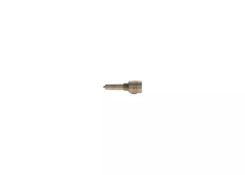 BOSCH Nozzle (0433172004)