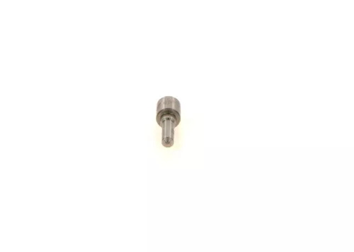 BOSCH Nozzle (0433171929)