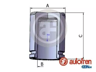 AUTOFREN SEINSA Piston, brake caliper (D025440)