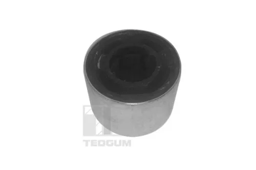 TEDGUM Mounting, control/trailing arm (00024603)
