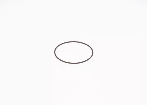 BOSCH Seal Ring (F01M100371)