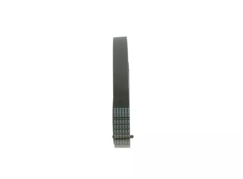 BOSCH V-Ribbed Belt (1987947090)