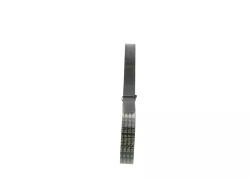 BOSCH V-ribbed Belt (1987946135)