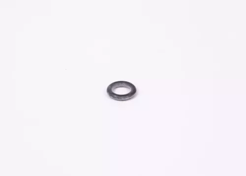 BOSCH Seal Ring (1900210105)