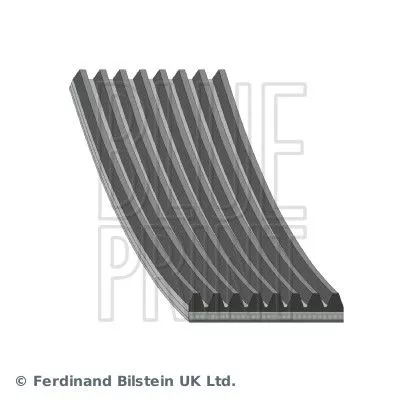 V-ribbed Belt