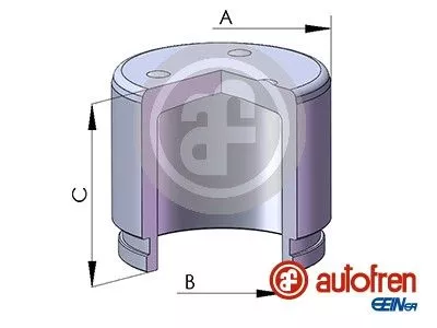 AUTOFREN SEINSA Piston, brake caliper (D02572)