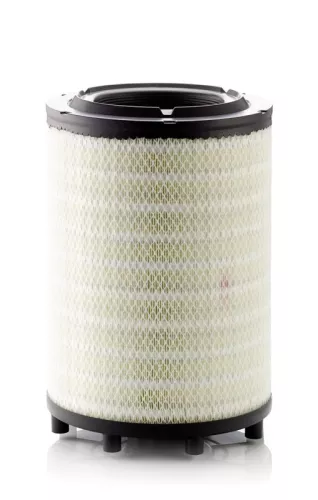 MANN-FILTER Air Filter (C31014)