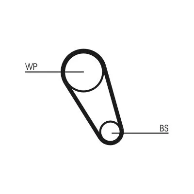 CONTINENTAL CTAM Water Pump & Timing Belt Kit (CT1143WP1)