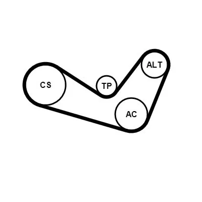 CONTINENTAL CTAM V-ribbed Belt Set (6PK1050K1)