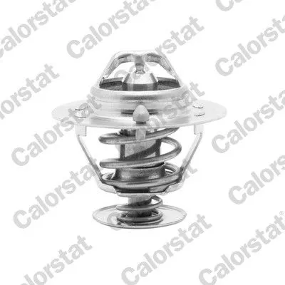 CALORSTAT by Vernet Thermostat, coolant (6294.88J)