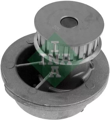 Schaeffler INA Water Pump, engine cooling (538031310)