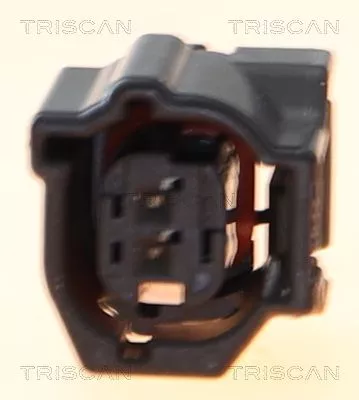 TRISCAN Sensor, wheel speed (818013202)