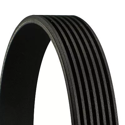 CONTINENTAL CTAM V-Ribbed Belt (7PK2967)