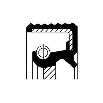 CORTECO Shaft Seal, crankshaft (20036189B)