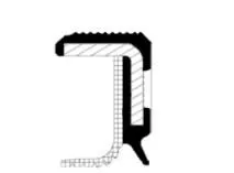 CORTECO Shaft Seal, crankshaft (20029611B)