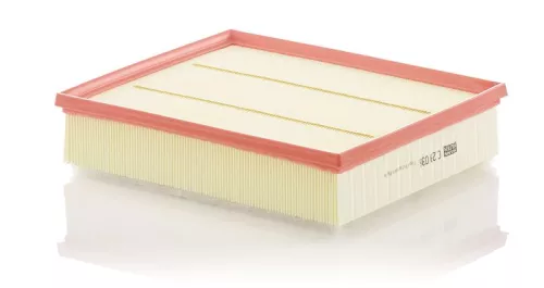 MANN-FILTER Air Filter (C29036)
