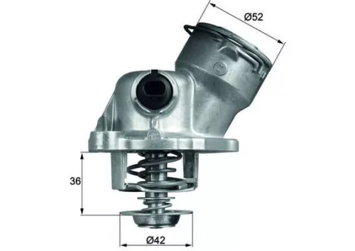 MAHLE Thermostat, coolant (TM29100D)