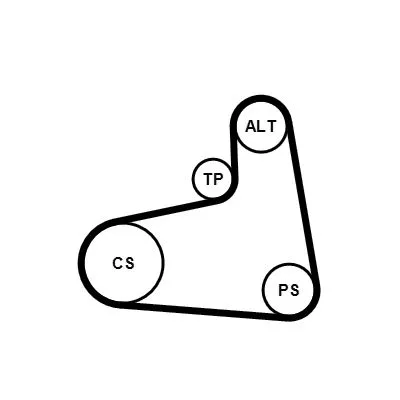 CONTINENTAL CTAM V-ribbed Belt Set (6PK906K1)