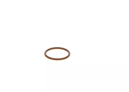BOSCH Seal Ring (F00VP01005)