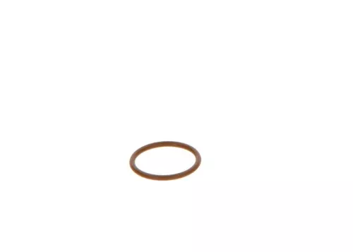 BOSCH Seal Ring (F00VP01005)