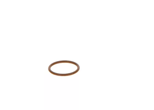 BOSCH Seal Ring (F00VP01005)