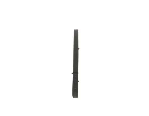 BOSCH V-ribbed Belt (1987946215)