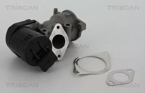 TRISCAN EGR Valve (881310001)