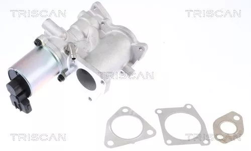 TRISCAN EGR Valve (881324101)