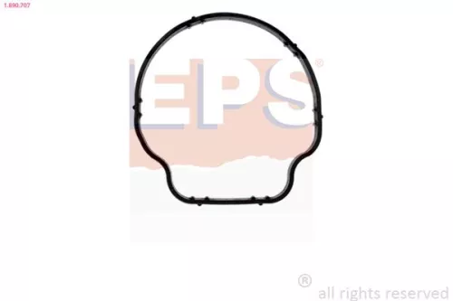 EPS Gasket, thermostat housing (1-890-707)