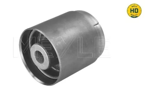 Mounting, control/trailing arm