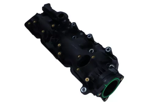 Intake Manifold Module