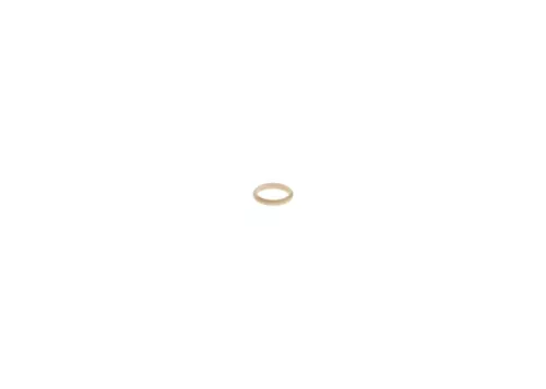 BOSCH Seal (F00RJ02157)