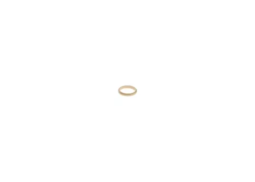 BOSCH Seal (F00RJ02157)