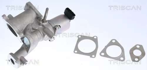 TRISCAN EGR Valve (881324022)