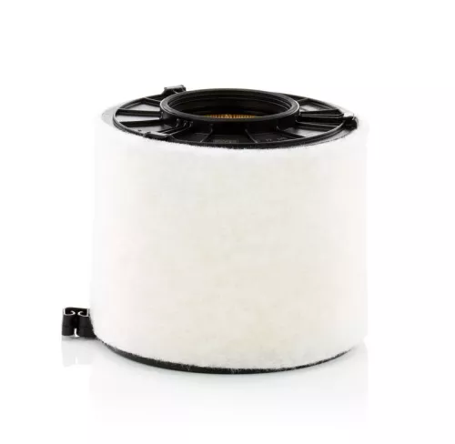 MANN-FILTER Air Filter (C17011)