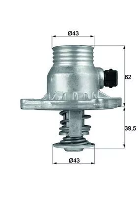 Thermostat, coolant