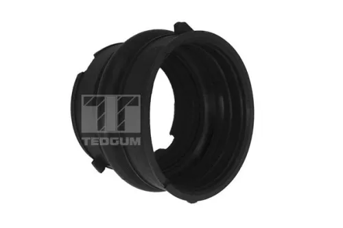 TEDGUM Mounting, control/trailing arm (00398334)