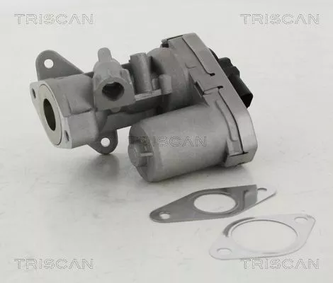 TRISCAN EGR Valve (881310002)
