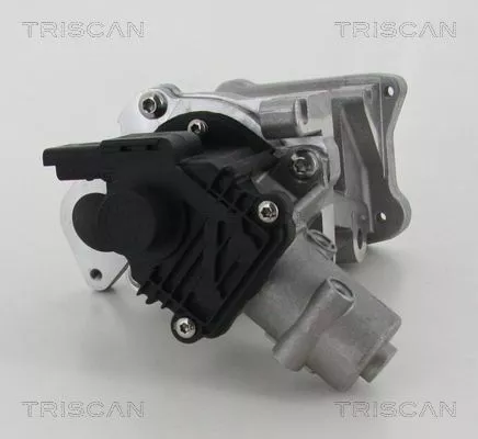 TRISCAN EGR Valve (881310007)