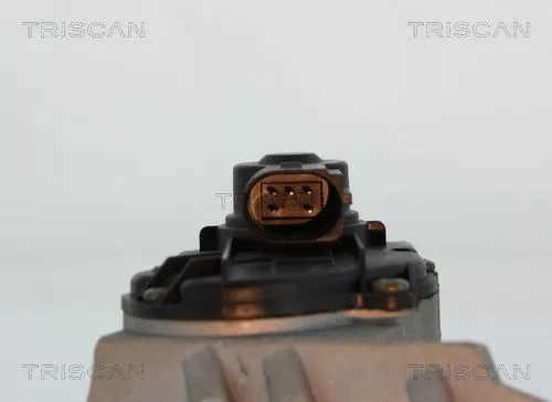 TRISCAN EGR Valve (881329047)