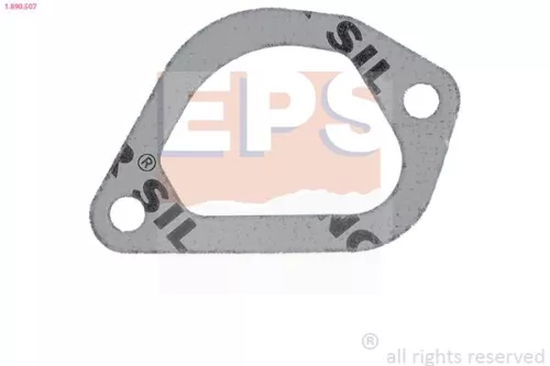 EPS Gasket, thermostat housing (1-890-507)
