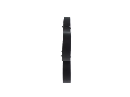 BOSCH V-Ribbed Belt (1987945719)