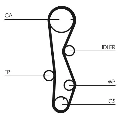 CONTINENTAL CTAM Water Pump & Timing Belt Kit (CT1099WP1)