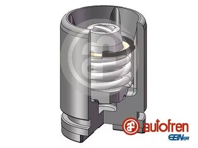 AUTOFREN SEINSA Piston, brake caliper (D025233K)