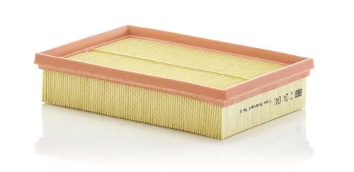 MANN-FILTER Air Filter (C24041)