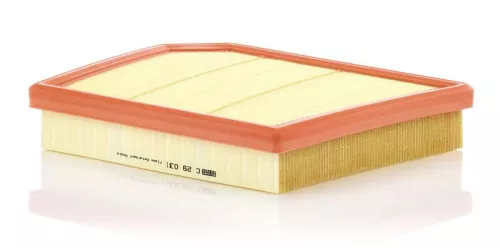 MANN-FILTER Air Filter (C29031)